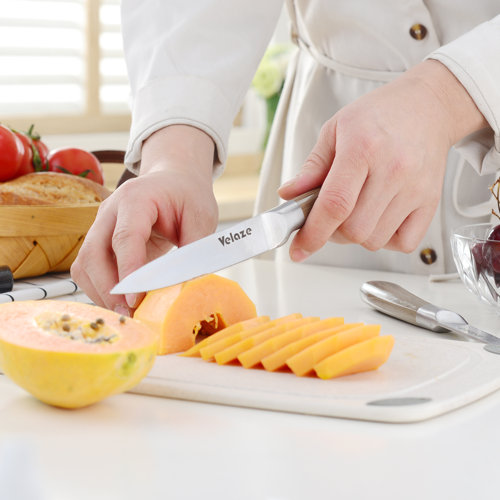 Velaze 8 Piece Stainless Steel Knife Block Set & Reviews Wayfair